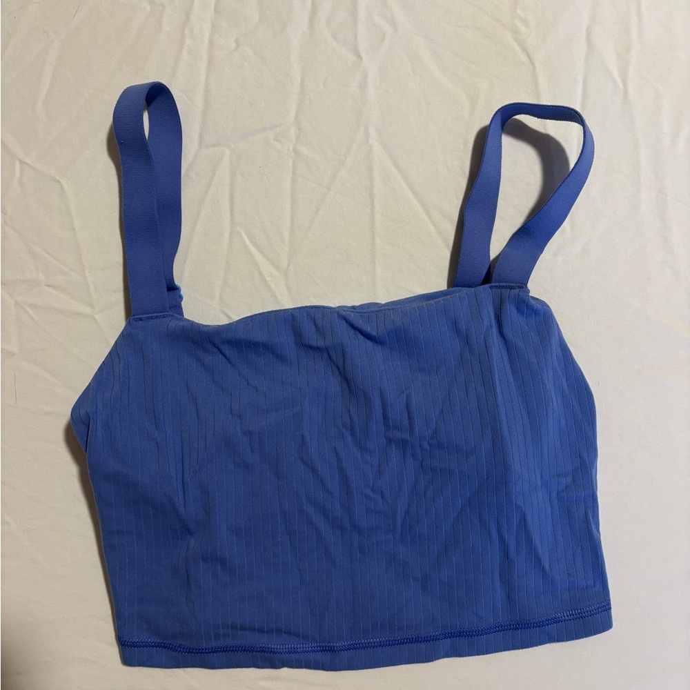 Blue Aerie Crop Top